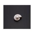 Exquisite conch pearl shaped brooch - WHT