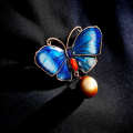 Antique Bronze Color Enamel Butterfly Brooch