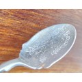 Nevada silver spoon with pattern