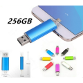 2018 USB 3.0 Flash Drive 256GB