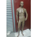 Mannequin (full size male)