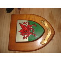 Wales Rugby shield