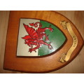 Wales Rugby shield