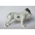 Vintage Rosenthal English Bulldog Porcelain Animal Figurine 345 c 1920 Germany Near Mint