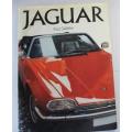 Jaguar by Paul Skilleter