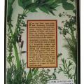 Hemphill`s Herbs by John and Rosemary Hemphill