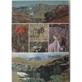 Field guide to the Natal Drakensberg by P. Irwin, J. Akhurst and D. Irwin