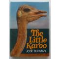 The Little Karoo by Jose Burman