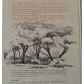 Trees of Southern Africa by Keith Coates Palgrave