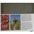 Aloes in Southern Africa by G.F. Smith & Braam van Wyk