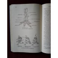 Admiralty manual of seamansship. vol II  1952 H/C