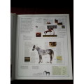 The Encyclopedia of the Horse by Elwyn H Edwards. H/C. Large format. 400 pp. 1994