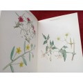 Wild Flowers of the Northern Cape/Veldblomme van Noord-Kaapland by Jill Adams. Signed. 1st 1976.