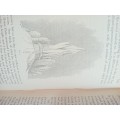 The Glaciers of the Alps by John Tyndall. 1896. Hardcover, no jacket. Good condition. 445 pp.