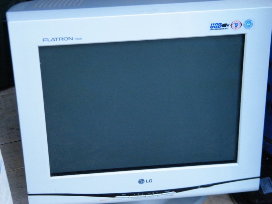 Monitor, 19 Inches - LG FLATRON F900B with USB