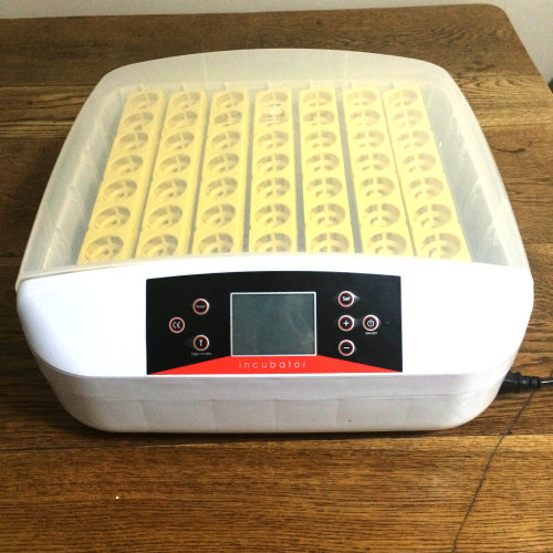 Poultry - 56 Egg Automatic Incubator - LOCAL STOCK was ...