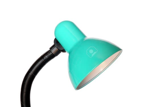 DESK LAMP HOLDER WITH CLIP-ON FLEXIBLE GOOSENECK & LED BULB. Collections allowed