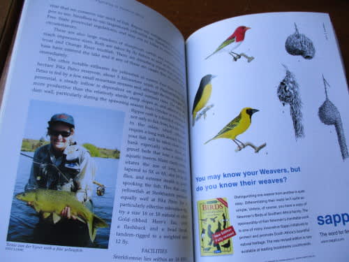 The Nedbank guide to FLYFISHING in Southern Africa