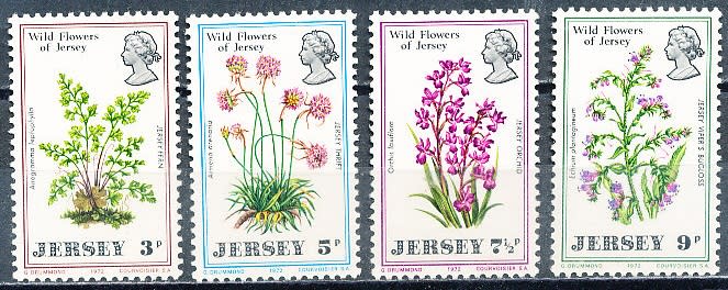 JERSEY   - 1972   Wild Flowers of Jersey   FULL SET  -   MINT