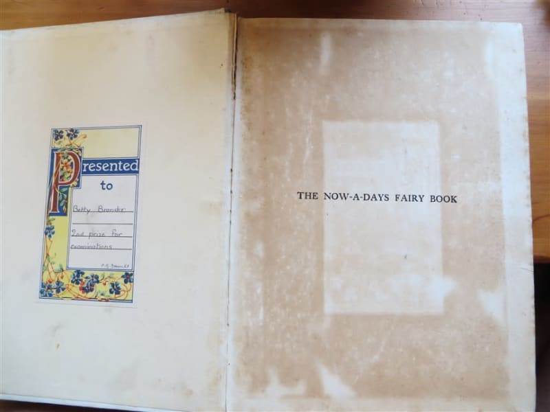 The Now-a-Days Fairy Book - Anna Alice Chapin