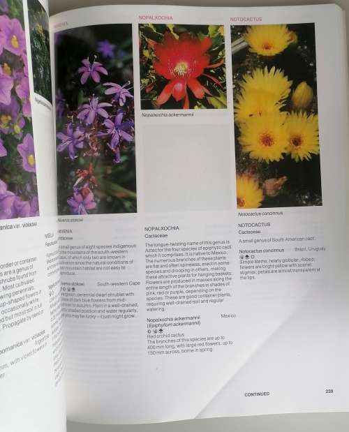 Home & Garden The a z of garden flowers in South Africa by Kristo