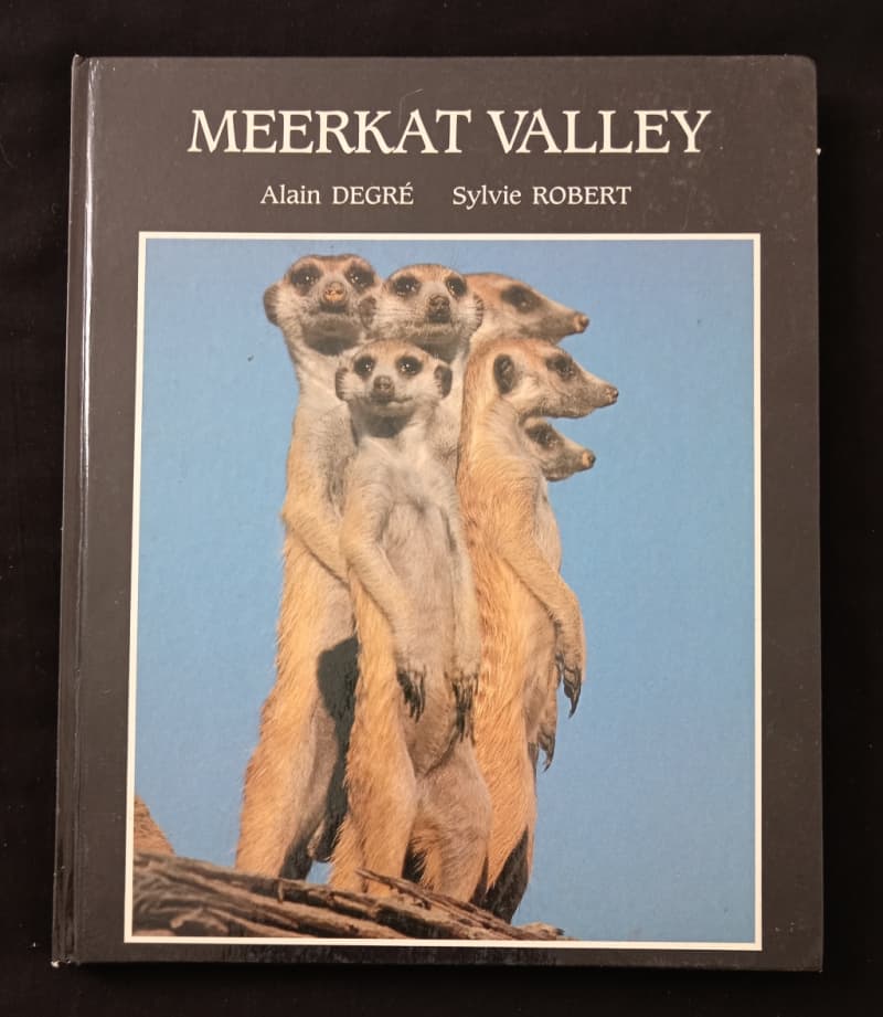 Meerkat Valley by Alain Degré & Sylvie Robert