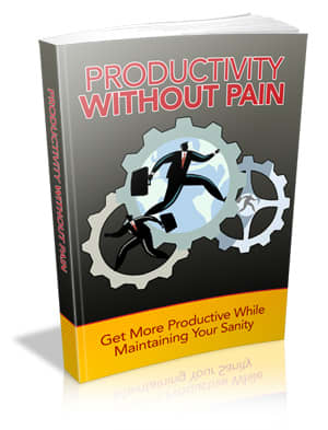 Productivity Without Pain - Ebook