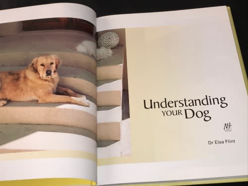 UNDERSTANDING YOUR DOG BY DR ELSA FLINT