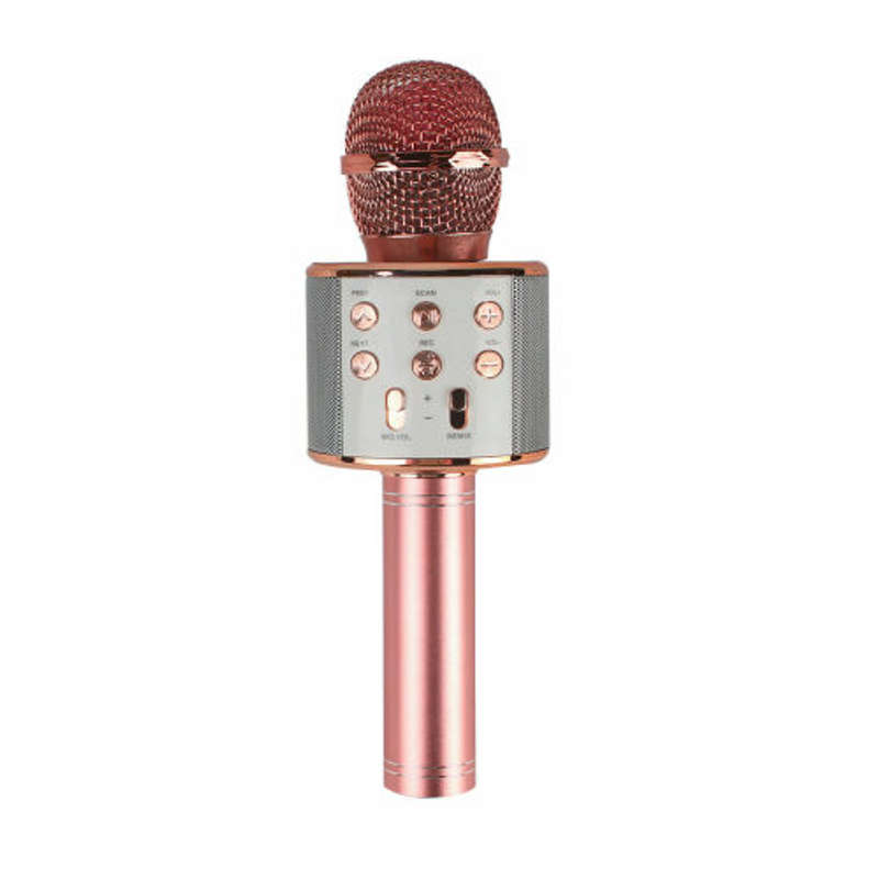 Karaoke - Wireless BT Karaoke Microphone USB Speaker Consender Handheld ...