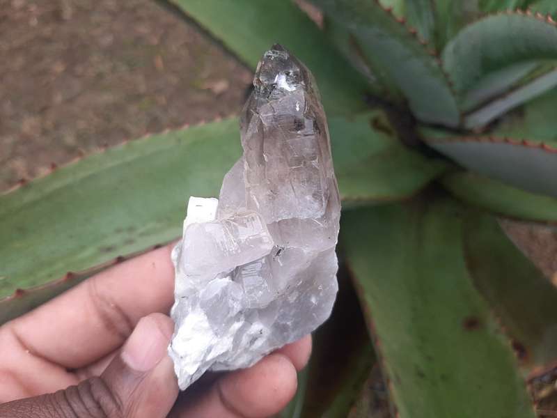 Crystals, Gemstones & Stones SMOKEY QUARTZ CRYSTALS for sale in
