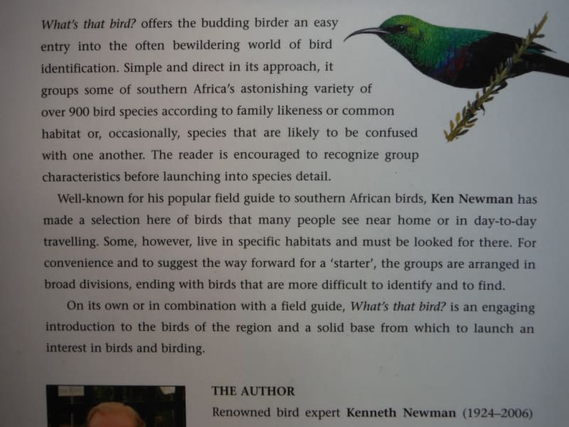 What`s that Bird : A Starter`s Guide to Birds of Southern Africa - Softcover - Kenneth Newman