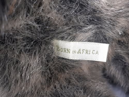 Born in Africa Warthog