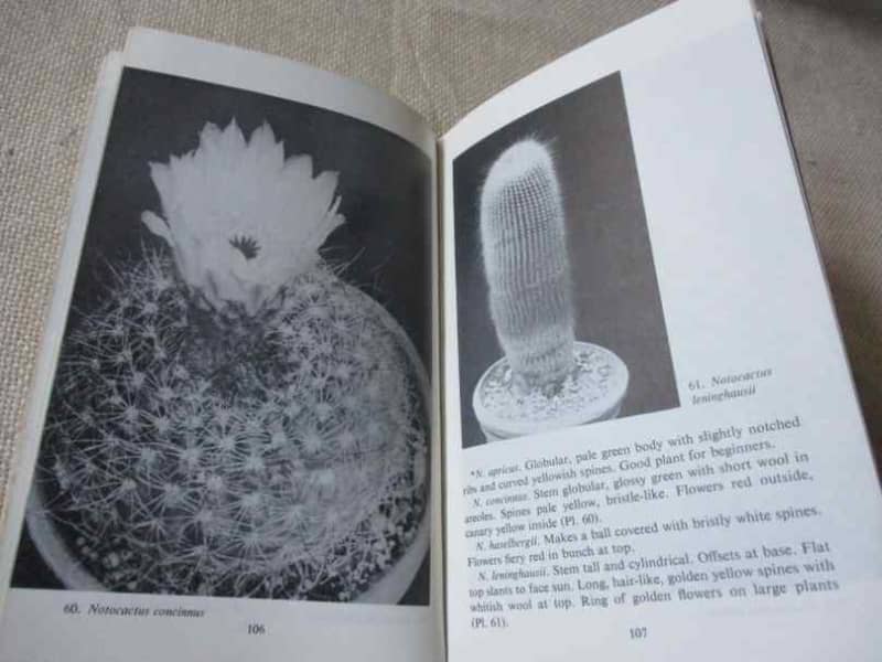 CACTI AND OTHER SUCCULENTS - PENGUIN HANDBOOK