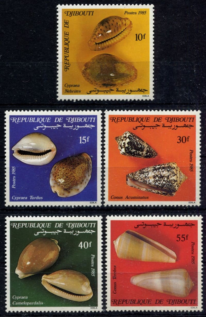 Djibouti - Water Life - Shells - 1985 - MNH