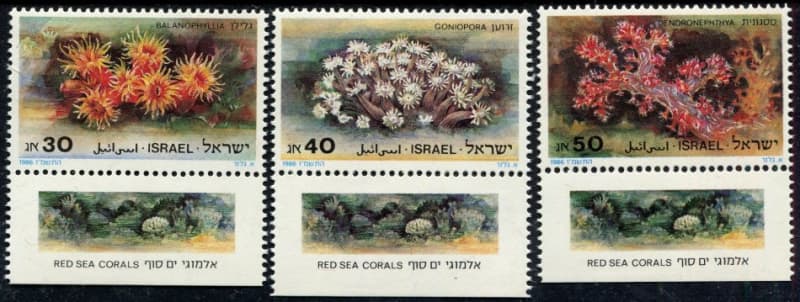 Israel - Corals - 1986 - MMH