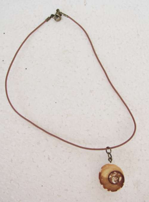 Necklaces - Fossil Snail ( Shiva Eye, Pacific Cats Eye or Turban Sea ...