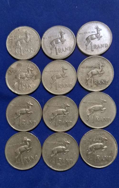 Collections & Lots - 12x South africa R1 coins. *BID PER COIN TO TAKE ...