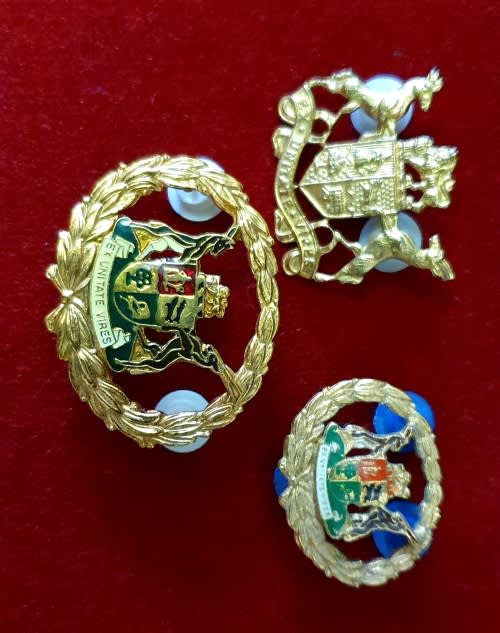 Other Badges & Insignia - SADF & SAPS FULL METAL AND ENAMEL BADGES ...