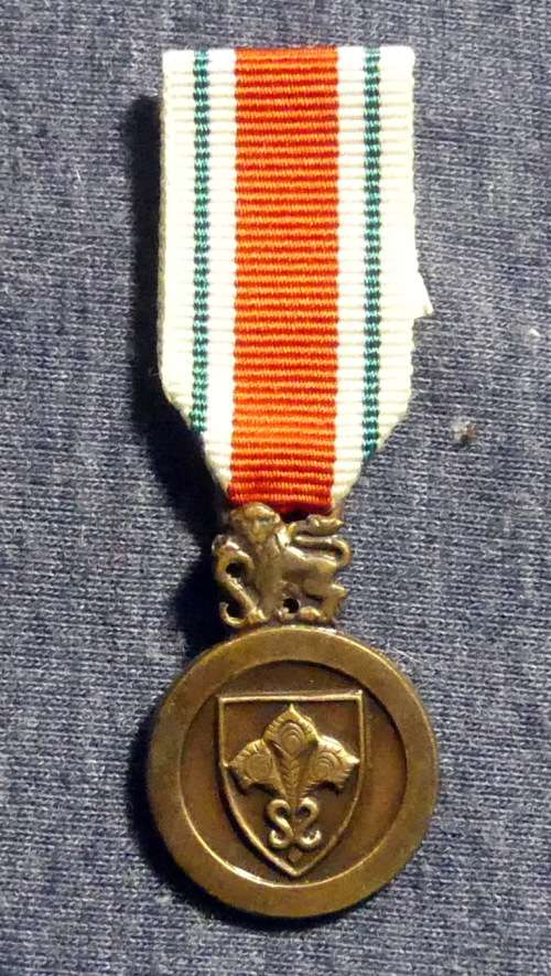 SADF & SANDF - SADF National Intelligence Service Medal for Faithful ...