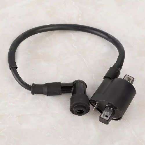 Other Motorcycle Parts - Big Boy Velocity Ignition Coil for sale in ...