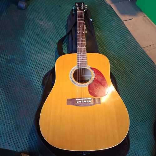 Acoustic Maxwell Acoustic Guitar for sale in Margate / Port Shepstone