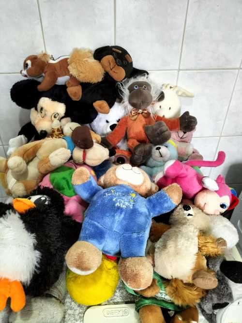 Other Soft Toys Collection of 20 Small to Medium Plush Soft Toys was