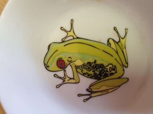 Small Maxwell & Williams Frog Dish - 10cm -Home tableware discount store 230305082537 20230304 121606
