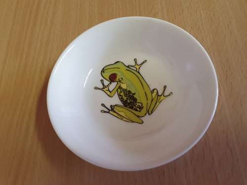 Small Maxwell & Williams Frog Dish - 10cm -Home tableware discount store 230305082537 20230304 121609