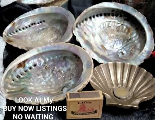 Other Antiques & Collectables - 4items Awesome 3 Sea Shell Abalone Big 