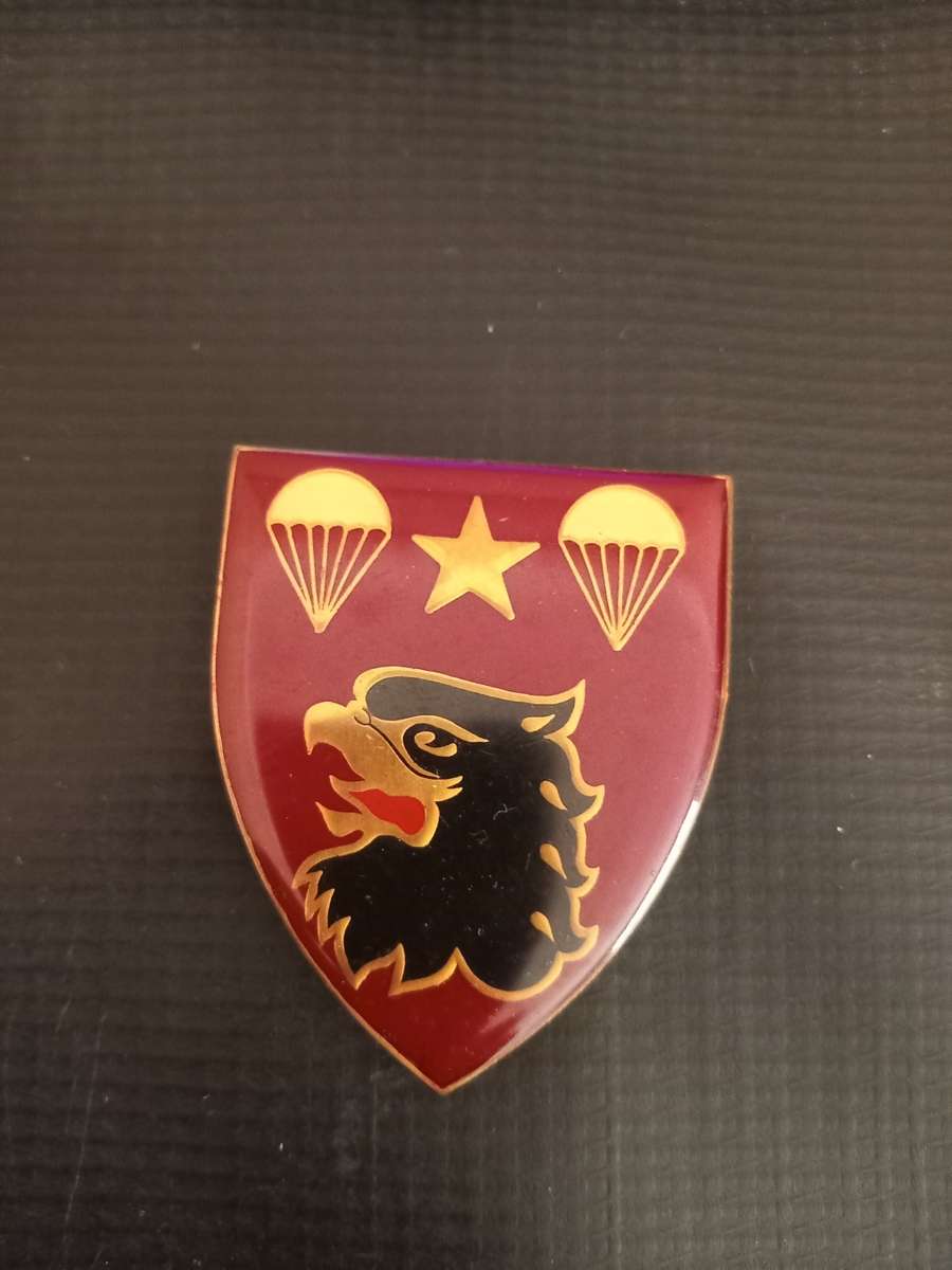 South African Army - 4 Parachute battalion flash, pins intact was sold ...