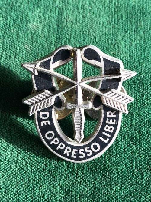 International Badges & Insignia - US SPECIAL FORCES CAP BADGE- 2 PINS ...