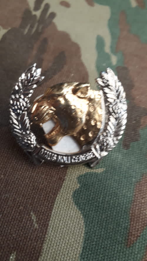 South African Army - South Africa Midlands Commando Beret Badge Both ...