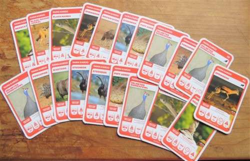 Trading Cards - South African Super Animals Cards - Pick n Pay - Nama ...