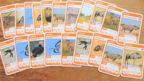 Trading Cards - South African Super Animals Cards - Pick n Pay ...